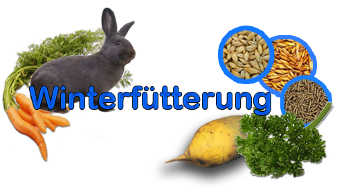 Kaninchen Winterfütterung