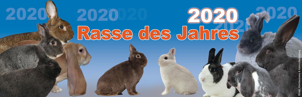 Rasse des Jahres 2020