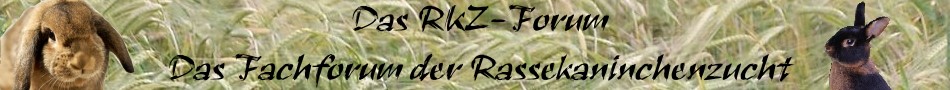 RKZ-Forum