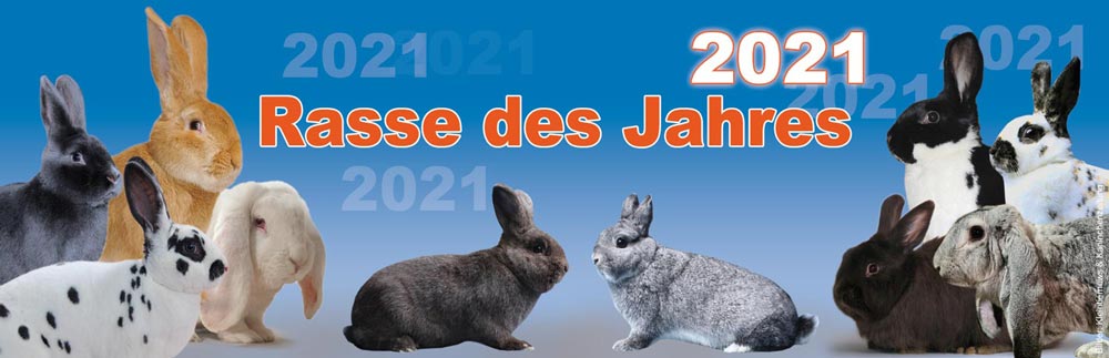 Rasse des Jahres 2016